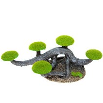 [바보사랑] 프리미엄 모스트리 H-1, 상세 설명 참조, 상세 설명 참조