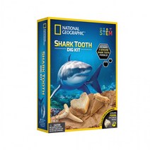 내셔날지오그래픽 밤나무 화석발굴 상어이빨(20264), 상세페이지 참조