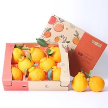 건강의정석 제주 서귀포 프리미엄 고당도 한라봉 천혜향 레드향 선물세트, [한라봉] 2.5KG 중과(10-16과)
