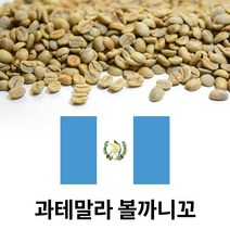 커피생두 과테말라 제네릭 SHB 1kg (1개)