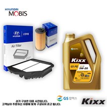 더뉴 아반떼 AD 1.6 LPG 엔진오일세트 [순정+킥스]