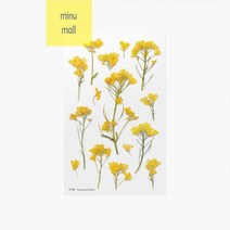 압화스티커_유채꽃 1EFD, 상세페이지 참조