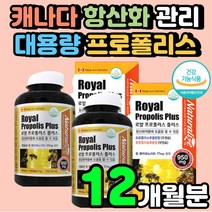 기관지 입안헐었을때 로얄 프로폴리스 플로폴리스 BEE PROPLIS 항산화 기관지 항산화제 벌꿀 어린이 여자 면역력 50대 60대 알약 캡슐 폴리폴리스 플로폴리스 구강 영양제 추천