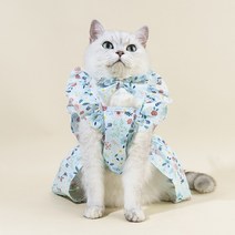 고양이 면화 귀여운 애완 동물 옷 드레스 컬러 인쇄 달콤한 개 작은 의류 용품 치마, [05] XL, [01] blue