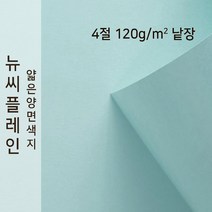뉴씨플레인 종이문화 얇은 양면색지 120g 4절 낱장 1매 No.05 연하늘색, 1장