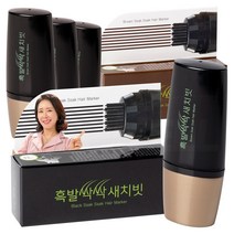 흑발싹싹 간편 커버 새치빗 9.5ml x 4p + 감쪽같은 새치빗 세트, 블랙, 1세트
