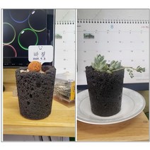 원예 교육 화분 만들기 키트 교육 DIY 창의 교구 방과후 활동 체험학습, 파랑, 바질