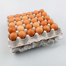 [알부자집] 친환경 무항생제 계란 대란 120구(30구X4판)