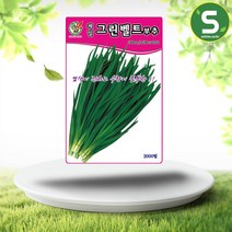 솔림텃밭몰 부추씨앗 2000립 그린벨트부추 부추씨 채소씨앗