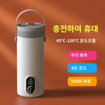 무선 분유포트 휴대용 온도조절 전기포트, 300W