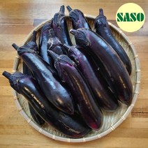 가지 한박스 못난이 5kg 새벽시장바로배송 국내산, 못난이 가지 5kg
