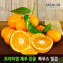 이츠올릿 제주 감귤 소중과 가정용 3kg 제주도 하우스 고당도 귤 타이백 밀감