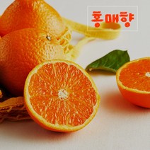 고당도 제주홍매향 홍매향 썬레드 3kg 5kg 선물용, 홍매향(썬레드) 선물용 3kg (15과내외)