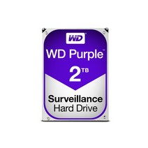 웨스턴디지털 WD 2TB CCTV저장용 하드디스크 (3년정품) HDD
