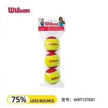 윌슨테니스공 테니스공 듀티 테니스볼 윌슨 트레이너 공인구 챔피언쉽 공 WILSON 테니스, 01