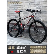 MTB자전거 산악용자전거 입문용 라이딩 공원 소형 폴딩 엠티비 접는, 21단, 24인치, A 프리빌리지 에디션 - 스틸 프레임