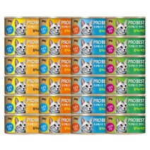 프로베스트 캣푸드 캔 참치와 치킨 80g x 6캔 + 참치와 치어 80g x 6캔 + 참치와 연어 80g x 6캔 + 참치와 게맛살 80g x 6캔 세트, 2세트