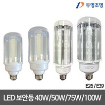 두영 LED투명보안등 40W/50W/75W/100W LED보안등 4종, 40W, E26