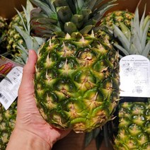 허니 미니 파인애플 (개당 약1.1kg), 1개