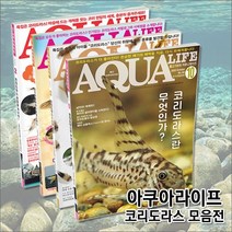 자연과사람 관상어잡지 아쿠아라이프 코리도라스, 총4권 모음