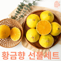 제주직송 고당도 황금향 추석선물세트 2.5kg 4kg, 2.5kg  8-13과