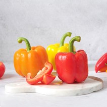 아삭한 식감의 정품 파프리카 1kg 혼합사이즈, 단품