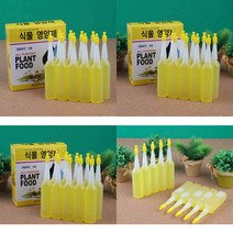 10P 식물영양제 원예자재 영양공급 나무영양제 발근제