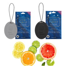 센트포레스트 퍼퓸 고체형 차량 실내 방향제 그레이