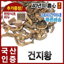 자애인 국산 건지황 300g 지황 건조 지황뿌리 경북안동, 단품