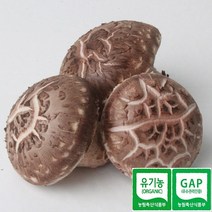한그루 표고마을 유기농 생표고버섯(작은표고) 1kg당 7000원, 1box, 1kg