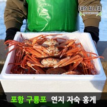 이츠올릿 포항 구룡포 연지 자숙 홍게 4kg 대구 울진 박달 대게 울산 영덕 홍개, 고급 A급_3kg 12미 (수율 85%내외), 1개
