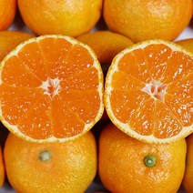 추석선물세트고당도귤 제주하귤 3kg 2kg추석귤, 제주 하우스귤 선물용 5kg 50-79과