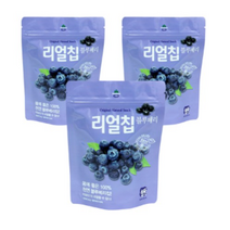 산마을 리얼칩 블루베리, 20g, 3개