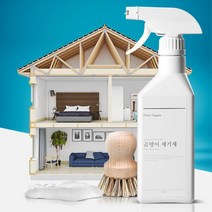원룸입주청소 낡은 베란다 곰팡이제거제 전세집 곰팡이방지, 곰팡이 제거제 400ml 1+1