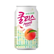 기타 동원쿨피스복숭아맛350ml48입/SH, 단일