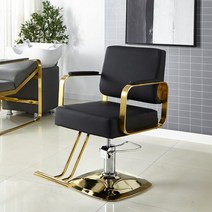 미용실의자 가구 피부샵 미용 메이크업 이발소 체어 업소용 헤어샵 의자 헤어 105980, 12.금도금 블랙 전기 도금 스퀘_공식 규격