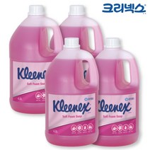 크리넥스 핸드워시 폼 솝 그린플로럴향 4L x 4개G/OPD:GAON0107G +Y1 ydy8454*640021734kZ, 1, 본상품선택