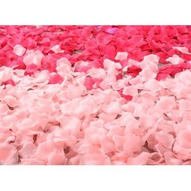 로맨틱 장미 꽃잎 데코레이션용 플라워 소품샵, 4. 핑크