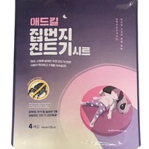 집먼지진드기 집 매트리스 진드기 시트 퇴치제 박멸 제거제 퇴치 퇴치법, 진드기시트