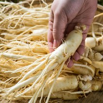 [실속형]금산 인삼 5년근 800g+덤200g 산지직송 막삼 난발삼, 1개, 난발삼300g+덤75g(무세척)