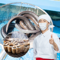 먹사부 자연산 국내산 통영 장어 바다장어 구이용 탕 덮밥 용 손질 뼈 중 대 특대 1kg 2kg 3키로 가정용 선물세트, B.바다장어[대] 4kg