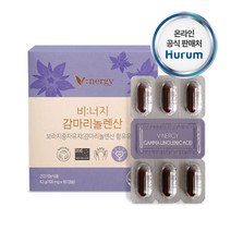 감마리놀렌산 보라지꽃종자유60캡슐, 2개, 2개