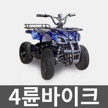 4륜바이크 사륜오토바이 다목적 레저용 스포츠 강촌, 1. (24V) 체인 드라이브