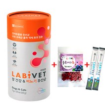 종근당바이오 라비벳 유산균 강아지 고양이 영양제, 장&비뇨기 30P + 블루베리츄 + 라비벳2p