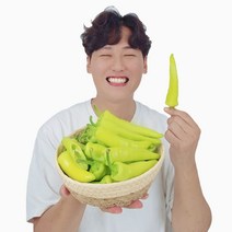 지리산 정기 받은 우수농산물 GAP 인증 신선함 당조고추, 1kg, 1개