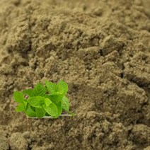 [백향기] 천연재료 박하분말가루 비누만들기 천연화장품만들기 천연팩, 100g