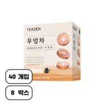 티젠 100세 시대 청춘비법 우엉차, 40g, 40개입, 8개