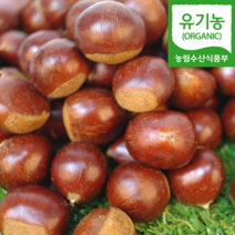 (자연마을) 충남 공주 유기농 정안 햇 대보밤 2kg(대), 유기농 대보밤 1kg(1kg*1봉)