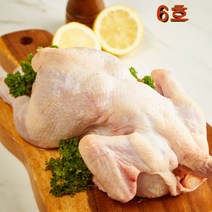염지 삼계 닭 도매 유통 영계 생닭-06호 (550-650g), 17각_핫염지 | 1진공..