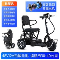 성인세발자전거 접이식 전동 전기자전거 3륜, 48V, B.엘레강스 블랙